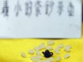 紫砂技艺美名扬 组图