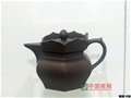 僧帽壶传奇