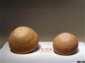 半坡遗址出土陶器
