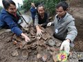 重庆铜梁首次发现涂山窑