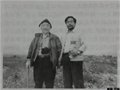 国外对定窑的研究状况