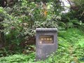 广西古代名窑：桂平窑址