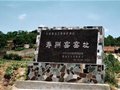 “南青北白”时代寿州窑的独特之美