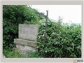浙江古代名窑——枫树湾青瓷窑址