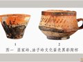 屈家岭遗址史前黑釉蛋壳陶研究